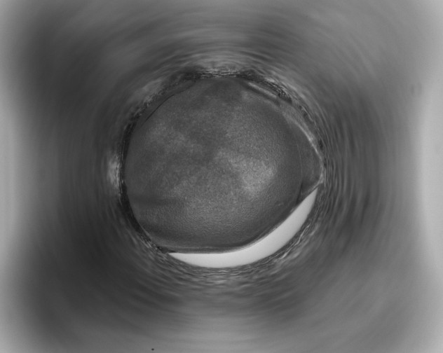 X0000096971108200802221356