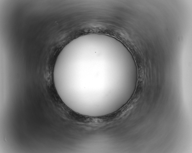 X0000096971109200802221356