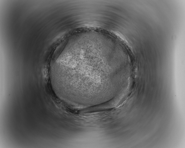 X0000096971110200802221356