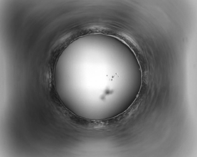 X0000096971111200802221356