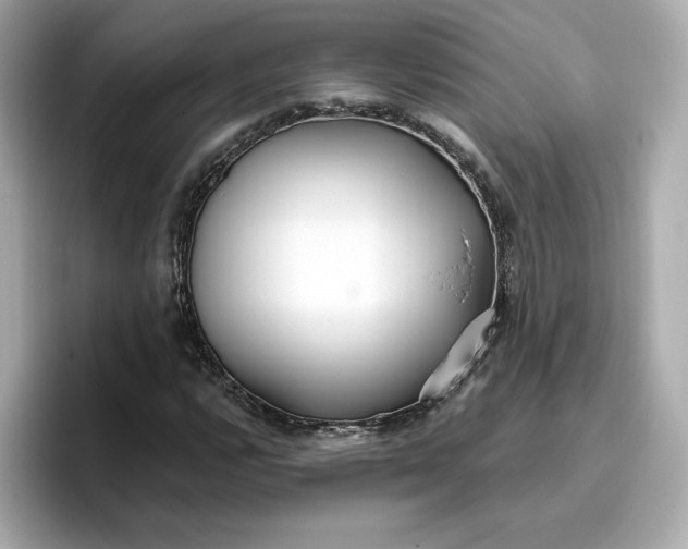 X0000096971112200802221356