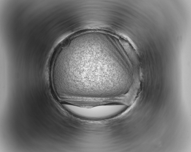 X0000096971114200802221356