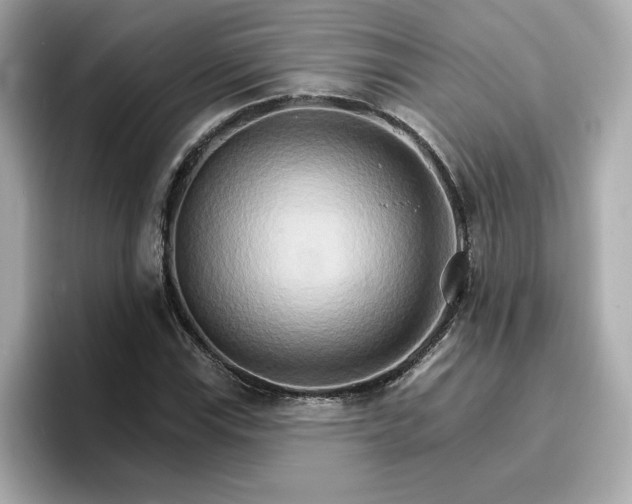 X0000096971115200802221357