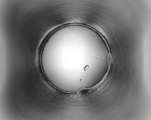 X0000096971116200802221357