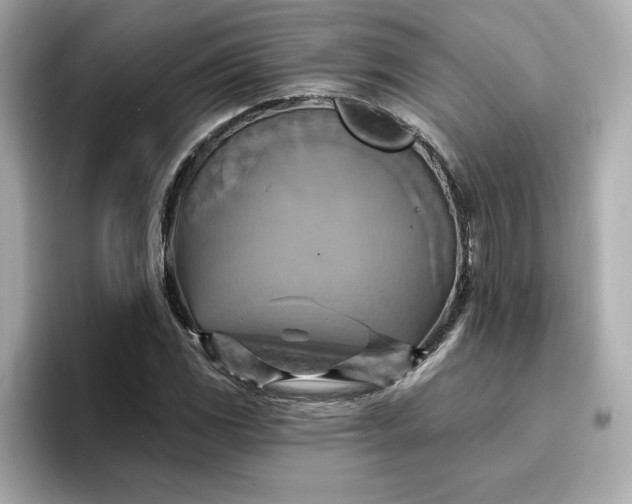 X0000096971117200802221357