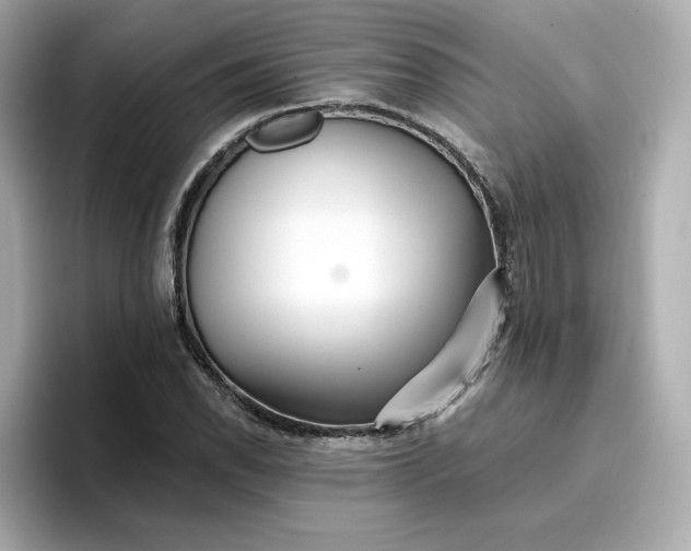 X0000096971118200802221357