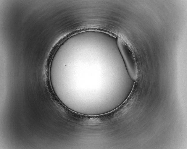 X0000096971119200802221357