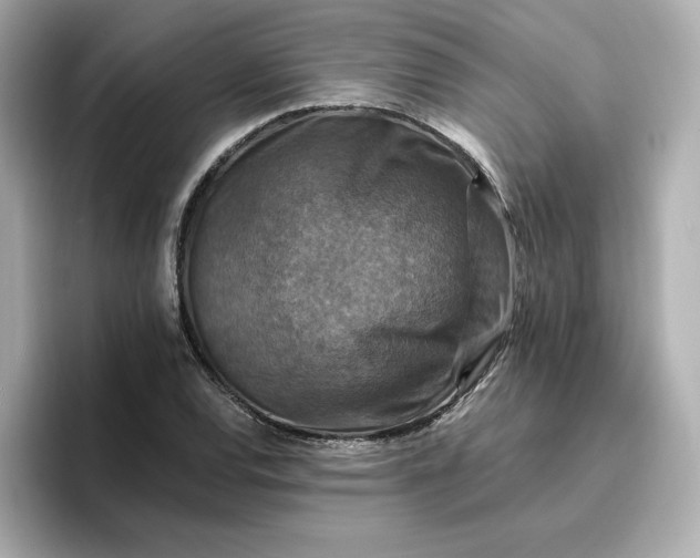 X0000096971120200802221357