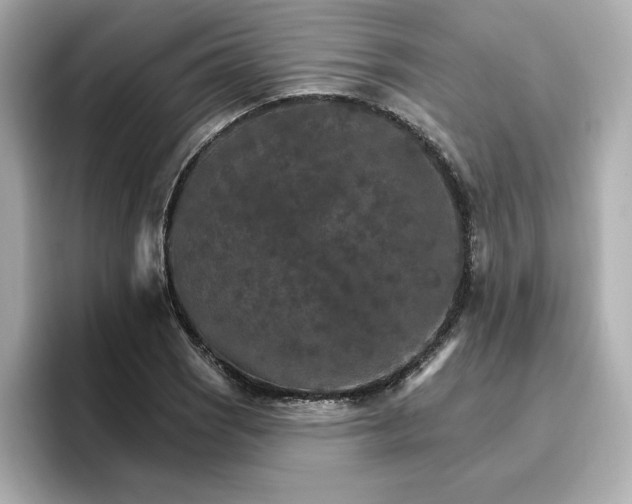 X0000096971121200802221357