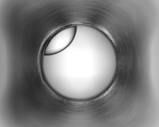 X0000096971122200802221357