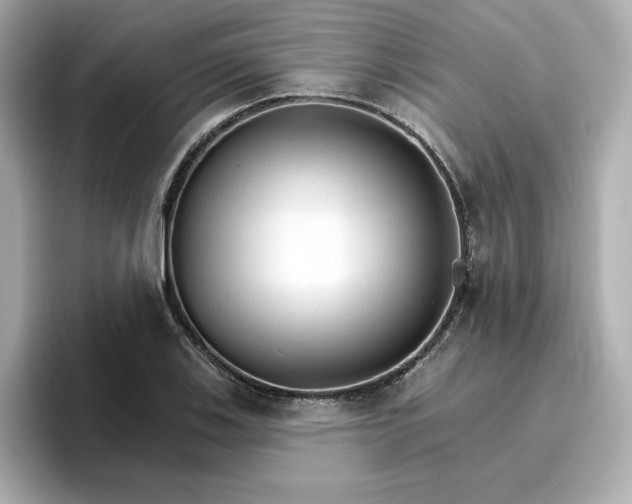 X0000096971123200802221357