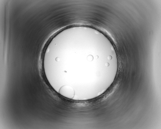 X0000096971125200802221357