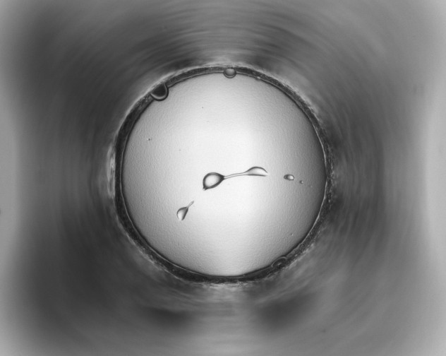 X0000096971126200802221357