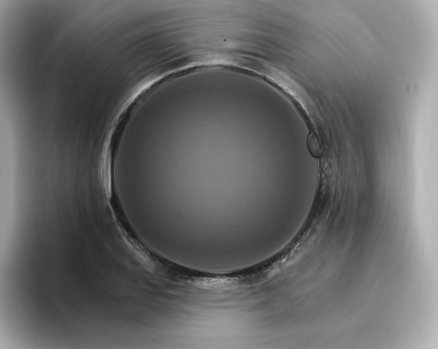 X0000096971127200802221357