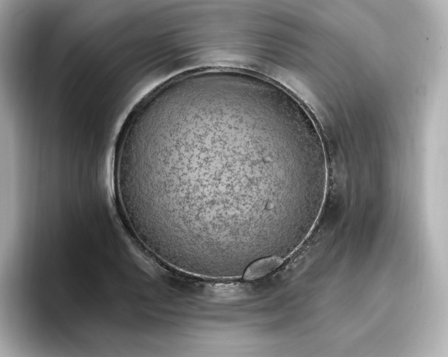 X0000096971128200802221357