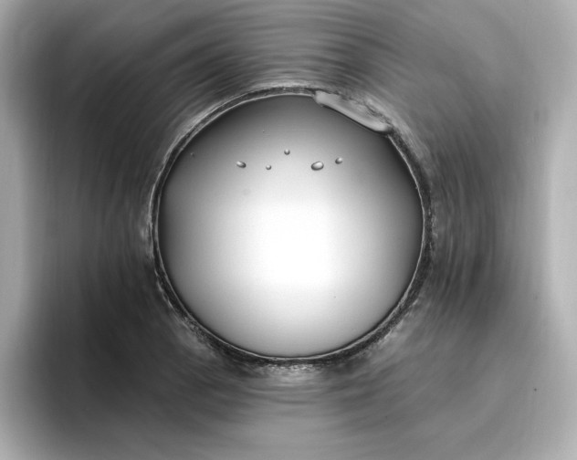 X0000096971129200802221357