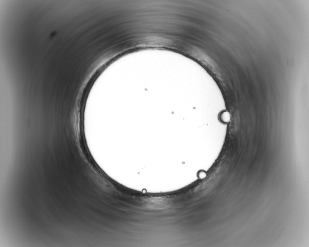 X0000096971130200802221357