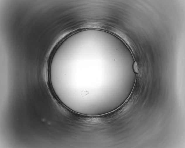 X0000096971131200802221357