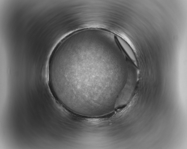 X0000096971132200802221357