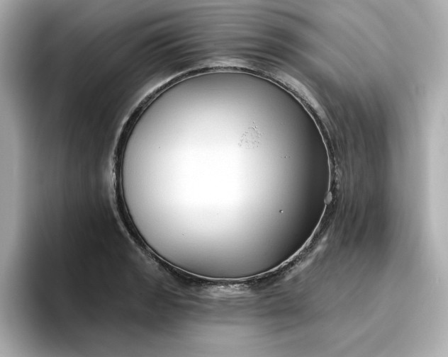 X0000096971133200802221357