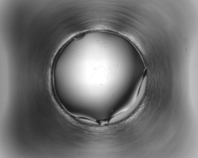 X0000096971134200802221357