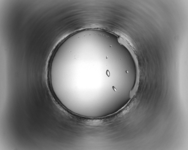 X0000096971135200802221357