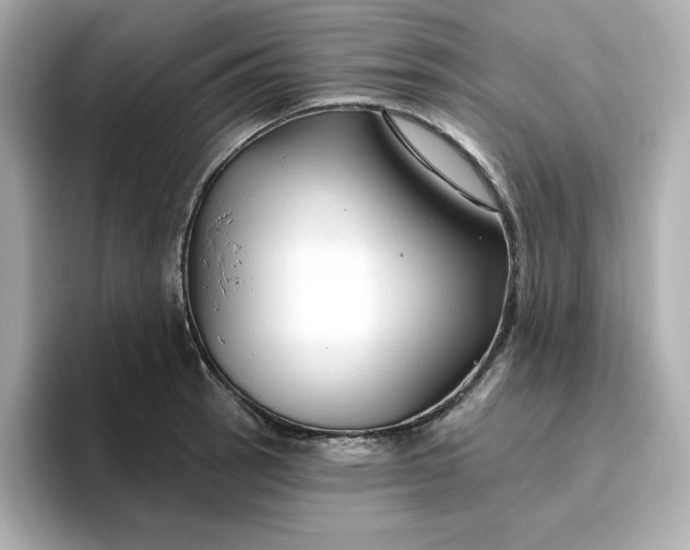 X0000096971137200802221357