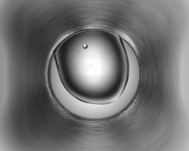 X0000096971138200802221357