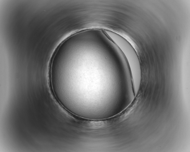 X0000096971142200802221357