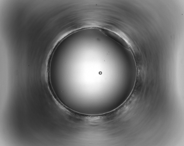 X0000096971143200802221357