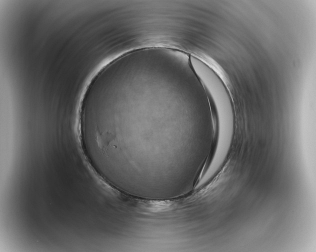 X0000096971144200802221357