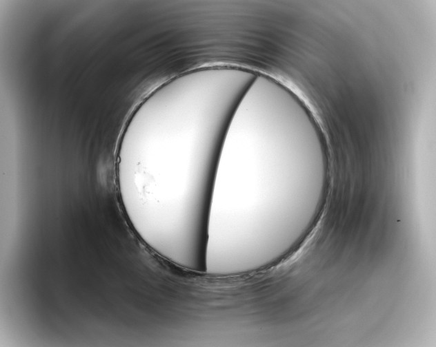 X0000096971145200802221357