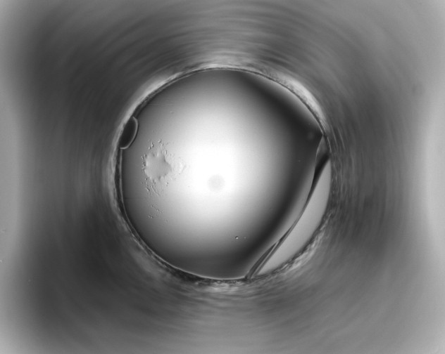 X0000096971146200802221357