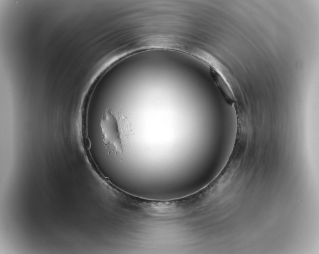 X0000096971147200802221357