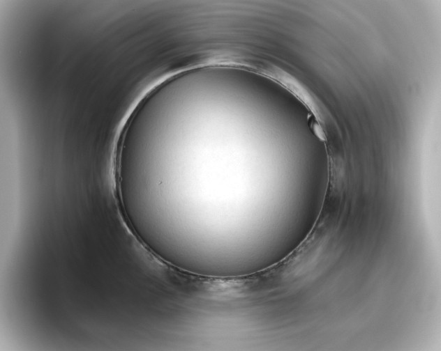 X0000096971148200802221357