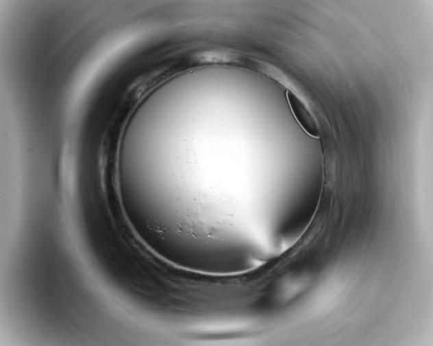 X0000096971151200802221357