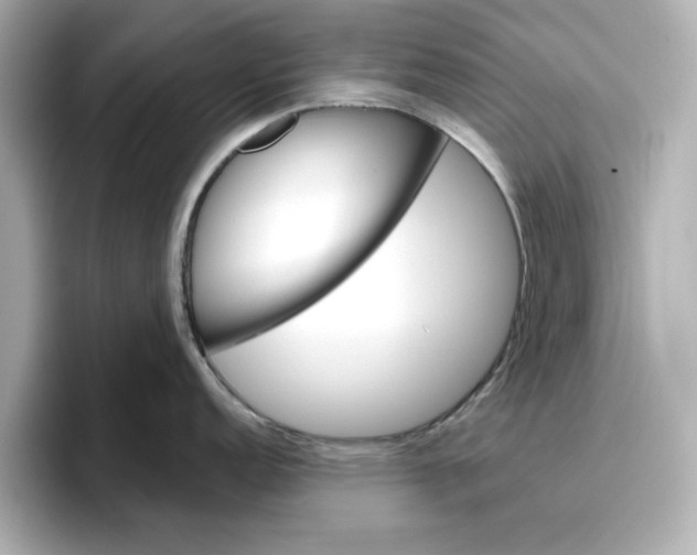 X0000096971152200802221357