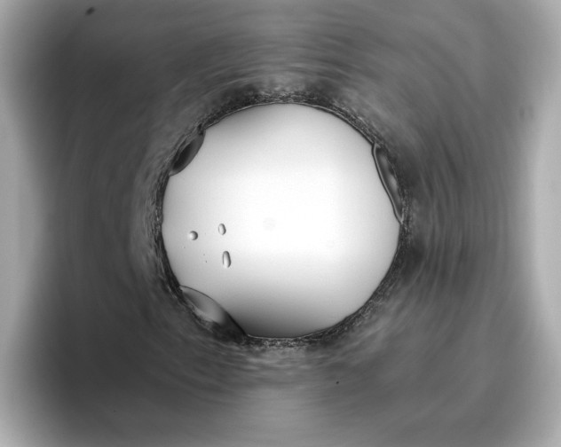 X0000096971153200802221356