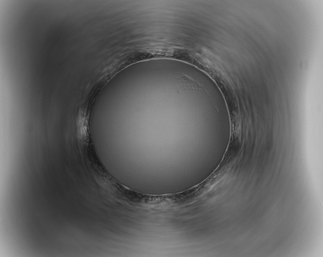 X0000096971154200802221356