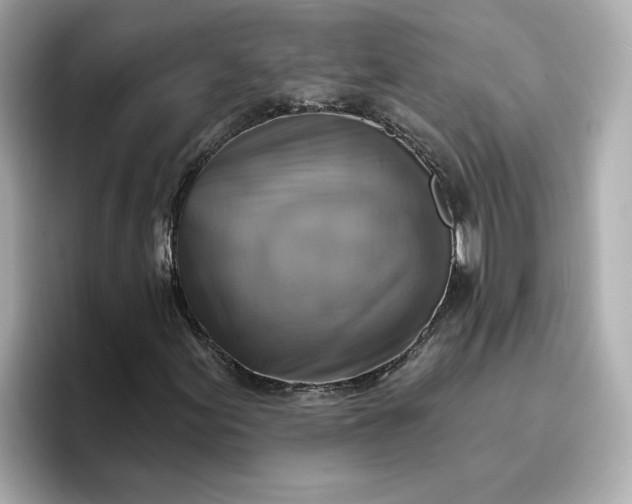 X0000096971155200802221356