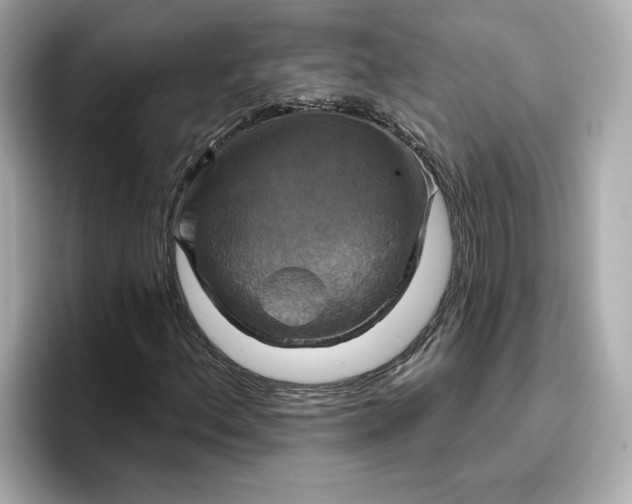 X0000096971156200802221356