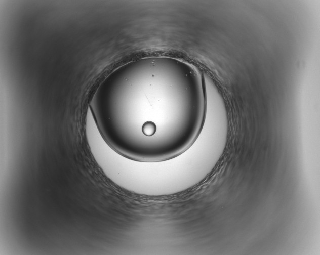 X0000096971157200802221356