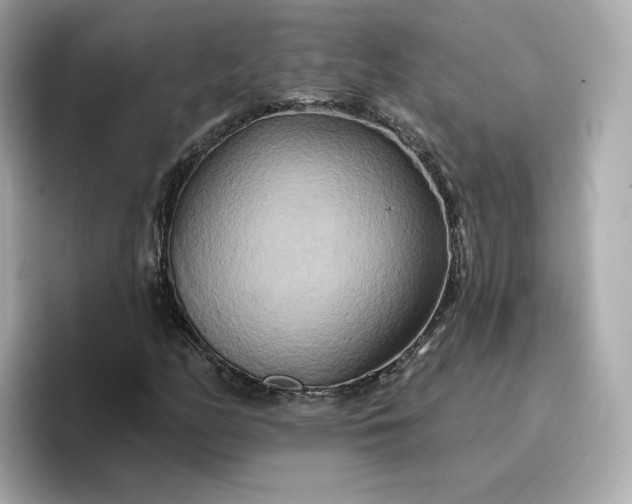 X0000096971158200802221356