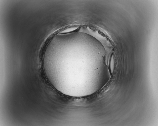 X0000096971160200802221356