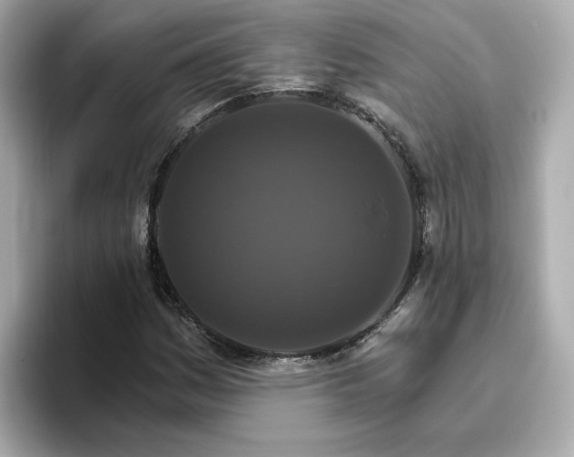 X0000096971161200802221356