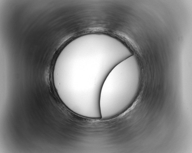 X0000096971162200802221356