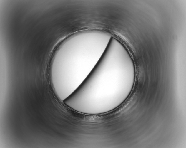 X0000096971163200802221356