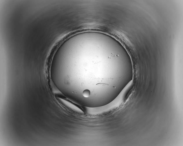 X0000096971164200802221356