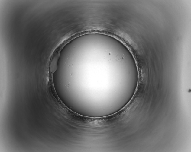 X0000096971165200802221356