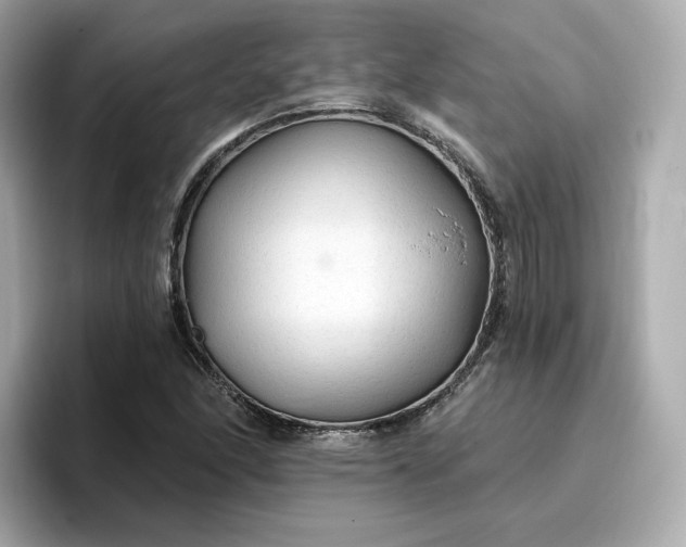 X0000096971166200802221356